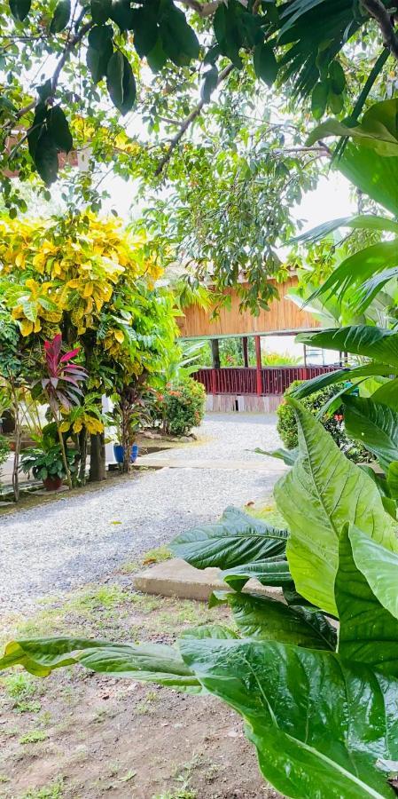 Hospedaje Quepos Buitenkant foto